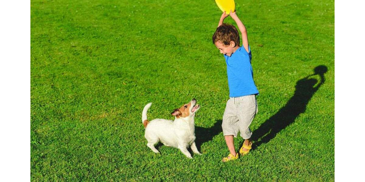 Etagenwohnung Mülheim Speldorf - 4 Zimmer, 113 m&sup2;, 591.000&euro; | Angebot:25796495