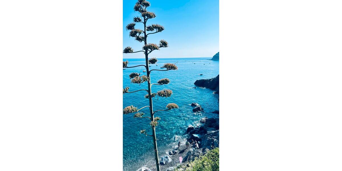 Etagenwohnung Krefeld - 2 Zimmer, 70 m&sup2;, 120.000&euro; | Angebot:24774574