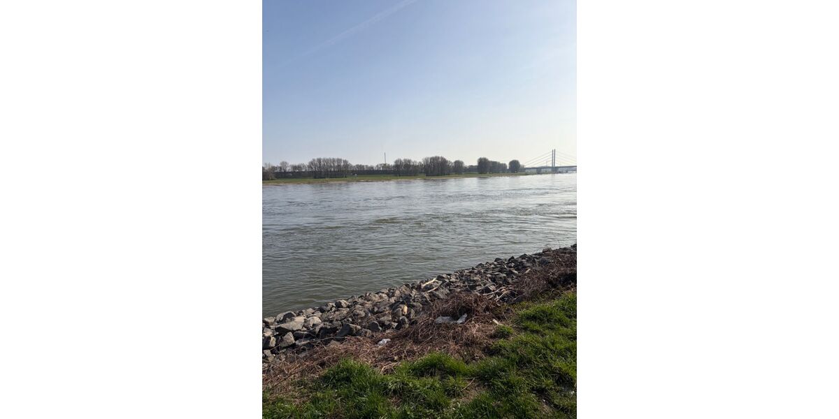 Provisionsfrei* Eckhaus EFH Endhaus mit PV 10,4 KW+Garage 140m zum Rheinufer Energiebedarf 22,4 kWhm2a - Einfamilienhaus Duisburg Essenberg | Angebot:26163676