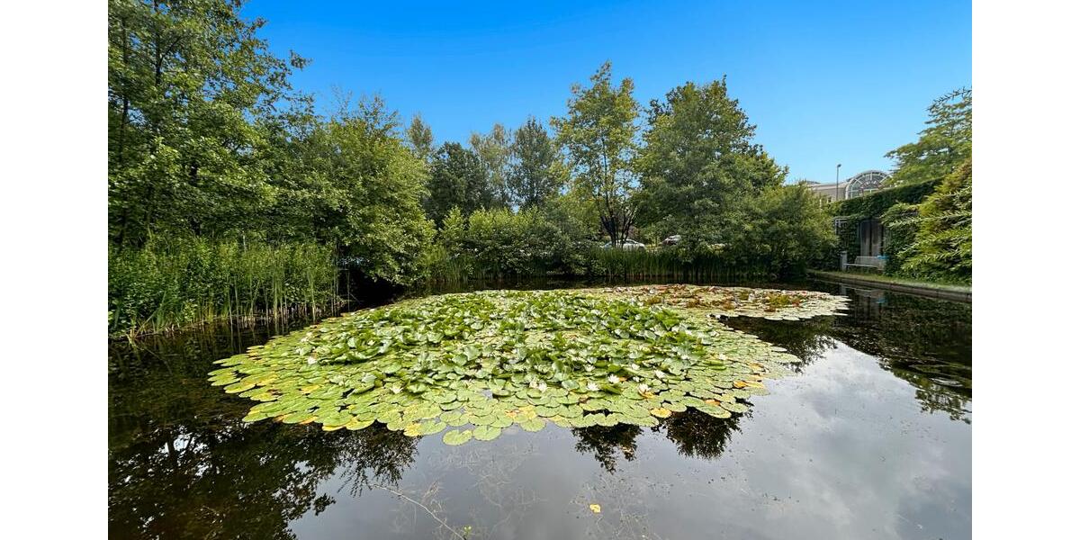 Gewerbeobjekt Essen Stadtbezirk II - 1.469&euro; | Angebot:22935384