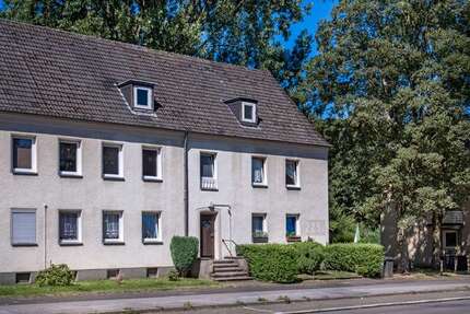 Wohnung Gelsenkirchen Scholven - 2 Zimmer, 39 m&sup2;, 309&euro; | Angebot:26778106
