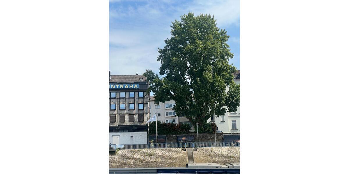 Gewerbeobjekt Duisburg Laar - 1.044&euro; | Angebot:25894500