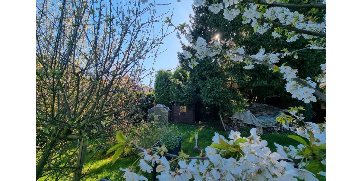 Mehrfamilienhaus, Wohnhaus Essen Stadtbezirk IV - 599.000&euro; | Angebot:26267426