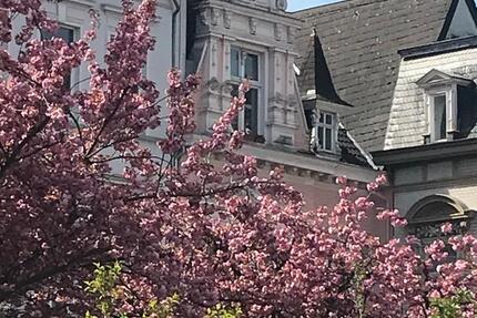 Wohnung Krefeld - 2 Zimmer, 60 m&sup2;, 159.000&euro; | Angebot:26267598