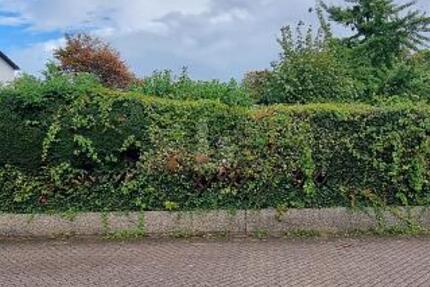 SONNENSTÜCK - UNBEBAUT UND NAHERHOLUNG - Grundstück Essen Stadtbezirk VII | Angebot:26184332