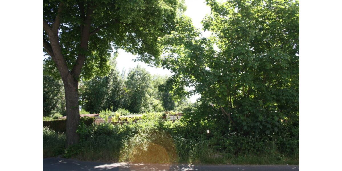 Provisionsfrei* Eckhaus EFH Endhaus mit PV 10,4 KW+Garage 140m zum Rheinufer Energiebedarf 22,4 kWhm2a - Einfamilienhaus Duisburg Essenberg | Angebot:26163676