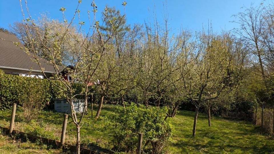 Einfamilienhaus Essen Stadtbezirk II - 4 Zimmer, 113 m&sup2;, 495.000&euro; | Angebot:26302954