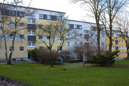 Wohnung Essen Stadtbezirk VII - 3 Zimmer, 69 m&sup2;, 568&euro; | Angebot:27097342
