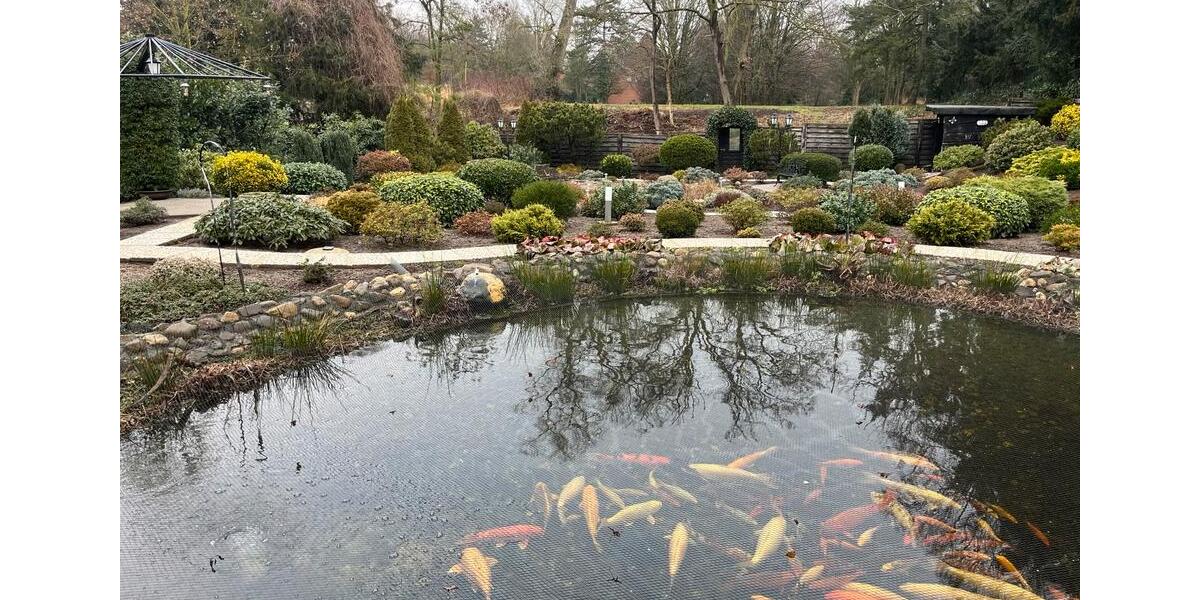 Bungalow Moers Rheinkamp - 2 Zimmer, 295 m&sup2;, 885.000&euro; | Angebot:26251699