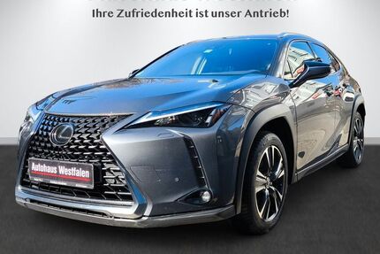 Lexus UX 73.788 km 23.890 &euro; Essen 45276