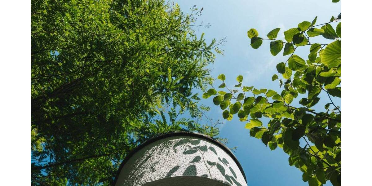 Etagenwohnung Essen Fischlaken - 4 Zimmer, 126 m&sup2;, 489.000&euro; | Angebot:26043400