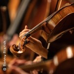 8. Philharmonisches Konzert 25/26