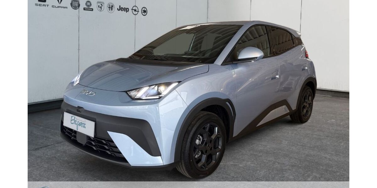 BYD DOLPHIN 3.000 km 23.438 &euro; Dinslaken 46539