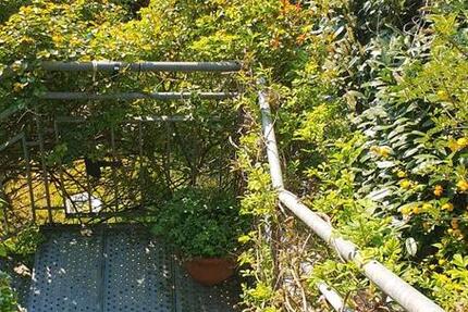 Wohnung Rheinberg - 5 Zimmer, 136 m&sup2;, 380.000&euro; | Angebot:26040241