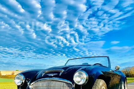 Austin Healey Andere 60.000 km 54.499 &euro; Essen 45127