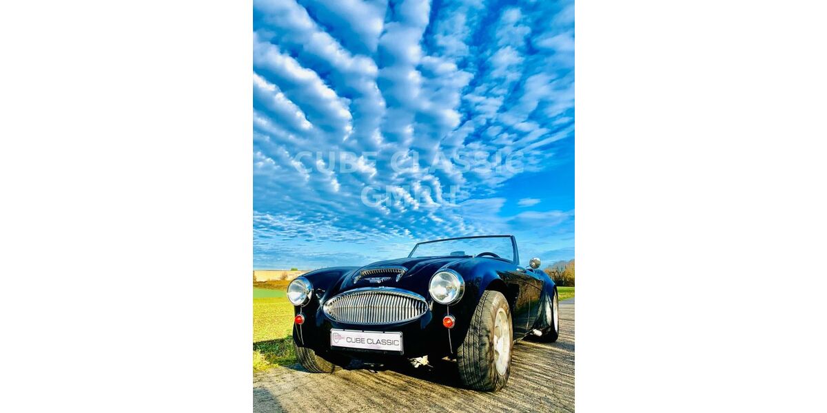 Austin Healey Andere 60.000 km 54.499 &euro; Essen 45127