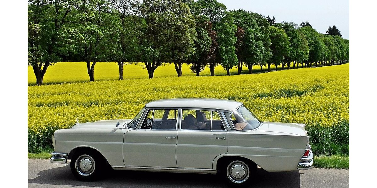 Mercedes-Benz 220 14.500 km 38.900 &euro; Essen-Kettwig 45219