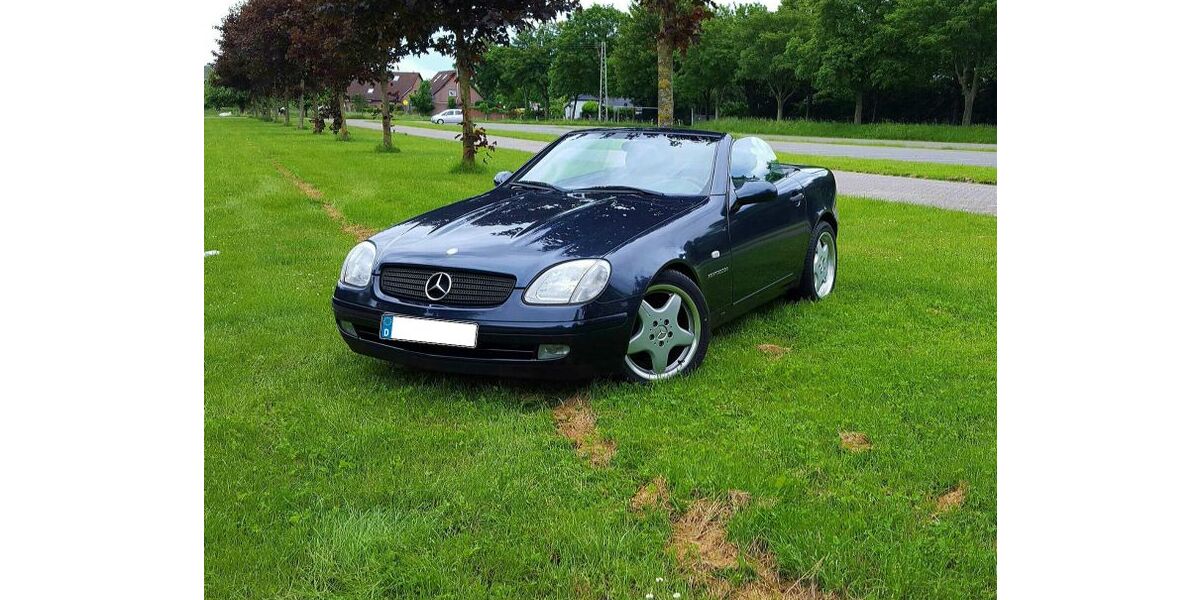 Mercedes-Benz SLK 230 219.799 km 5.000 &euro; Alpen 46519
