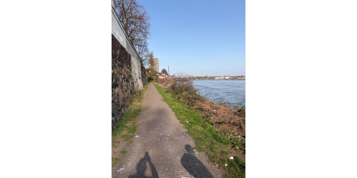 Provisionsfrei* Eckhaus EFH Endhaus mit PV 10,4 KW+Garage 140m zum Rheinufer Energiebedarf 22,4 kWhm2a - Einfamilienhaus Duisburg Essenberg | Angebot:26163676