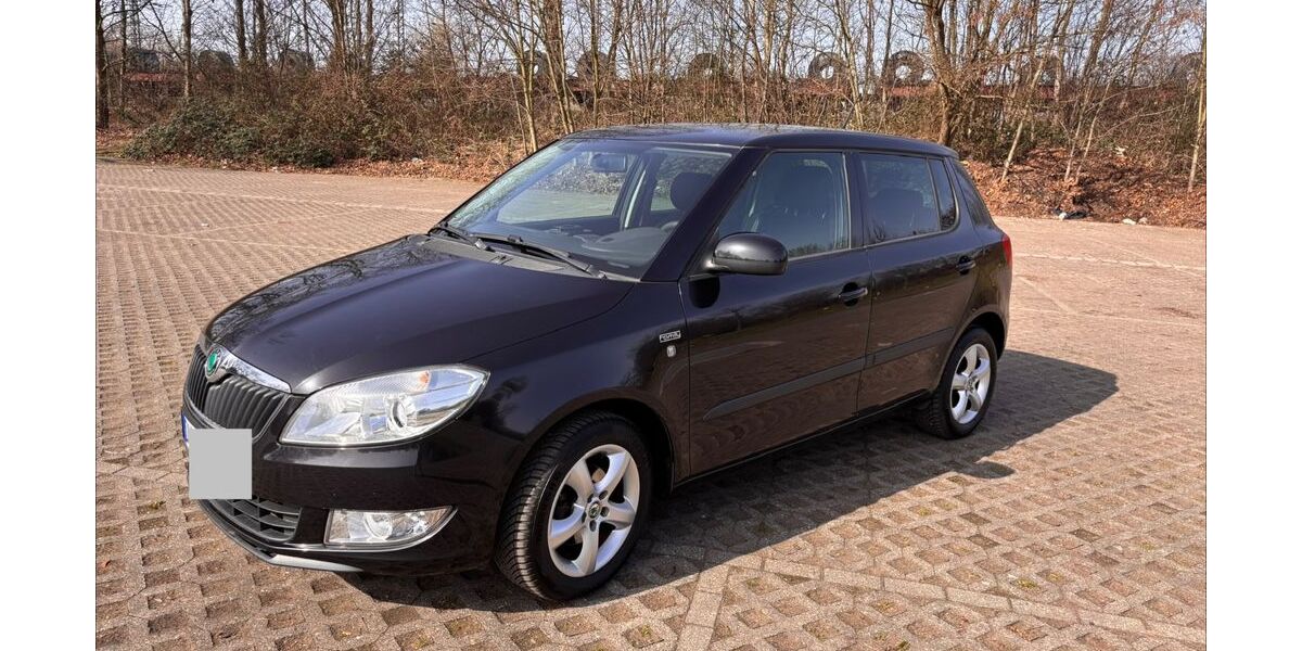 Skoda Fabia 154.500 km 4.400 &euro; Duisburg 47229