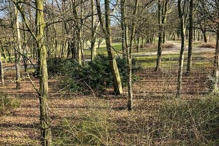 Wohnung Gelsenkirchen Gelsenkirchen-Nord - 3 Zimmer, 73 m&sup2;, 650&euro; | Angebot:26003708