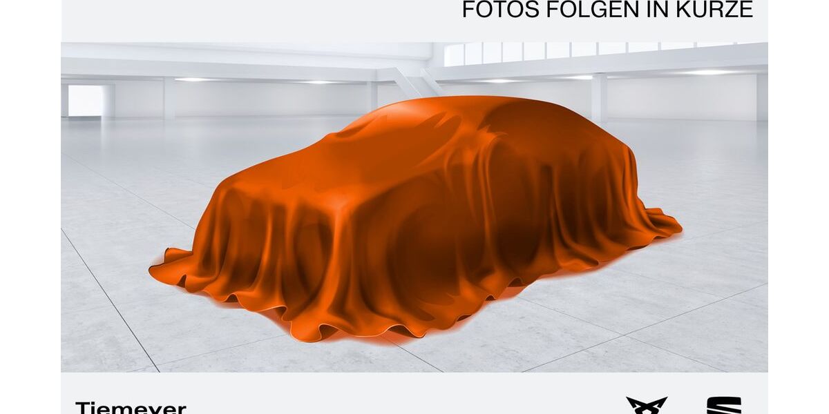 Cupra Formentor 57.829 km 39.990 &euro; Duisburg 47059