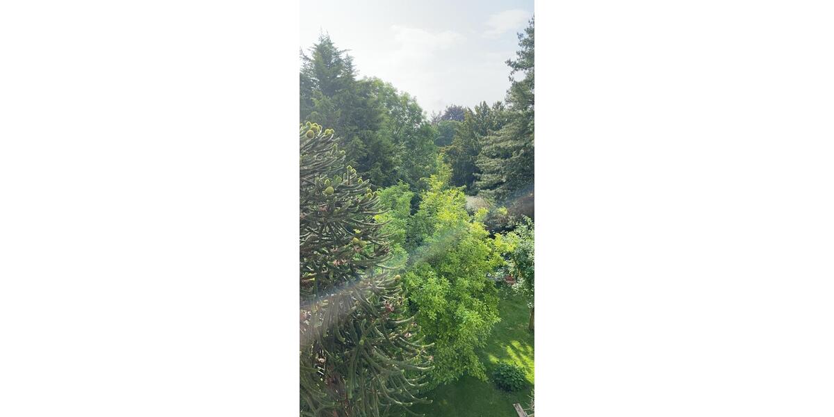 Etagenwohnung Krefeld Cracau - 4 Zimmer, 112 m&sup2;, 1.240&euro; | Angebot:25871602