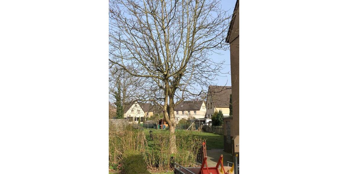 Doppelhaushälfte Mülheim an der Ruhr Dümpten - 270.000&euro; | Angebot:26278818