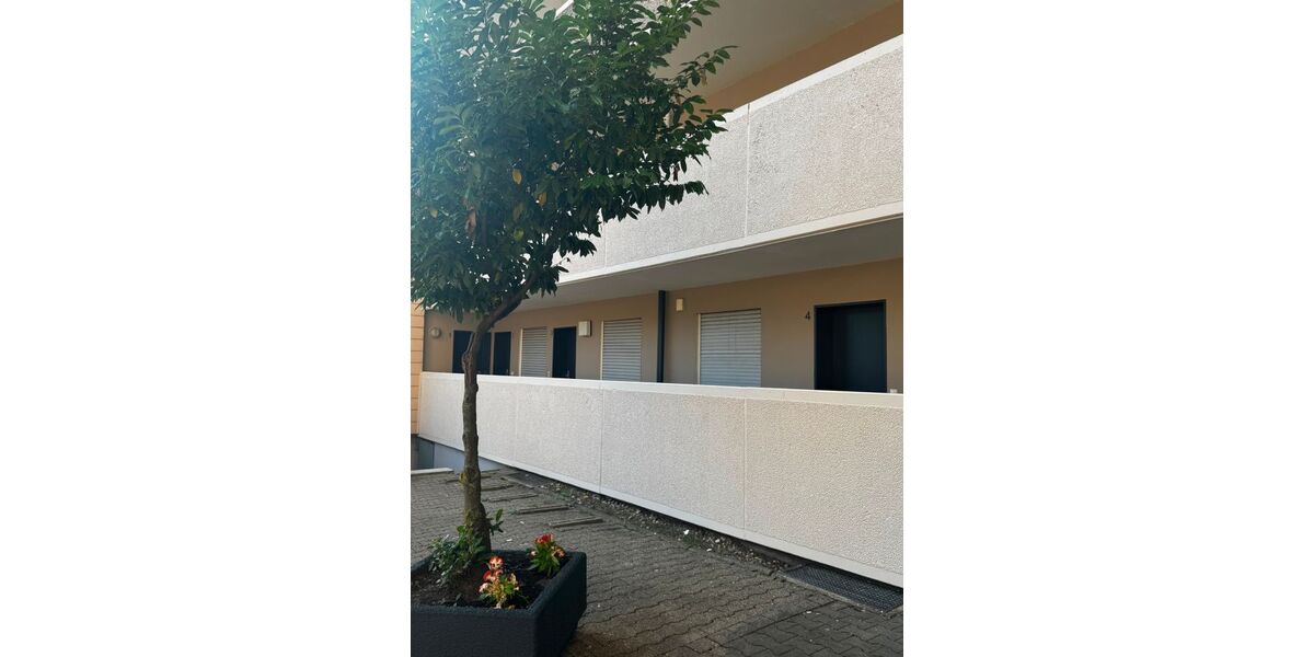 helle 3,5Zimmer Wohnung mit Bad Gäste WC & Balkon. - 3- Gladbeck Brauck | Angebot:26085348