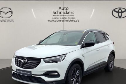Opel Grandland (X) 77.922 km 14.490 &euro; Xanten 46509