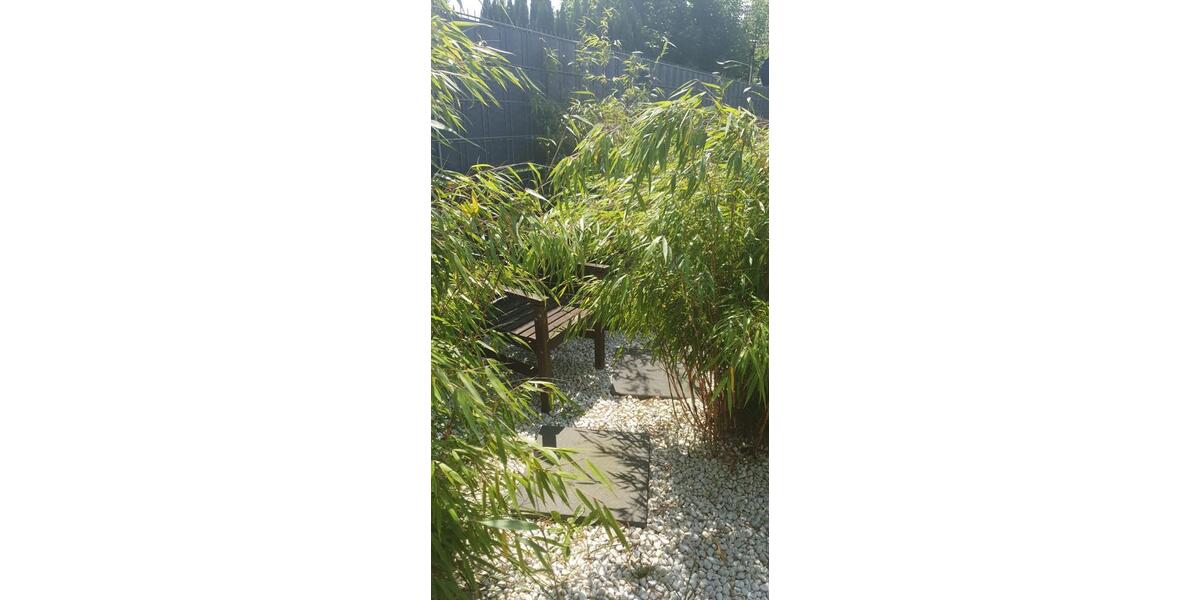 Doppelhaushälfte Gelsenkirchen Gelsenkirchen-Nord - 3 Zimmer, 76 m&sup2;, 235.000&euro; | Angebot:26152341