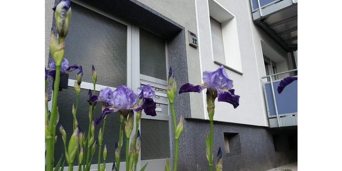 Dachgeschoßwohnung Gelsenkirchen Gelsenkirchen-Mitte - 2.5 Zimmer, 45 m&sup2;, 500&euro; | Angebot:25931885