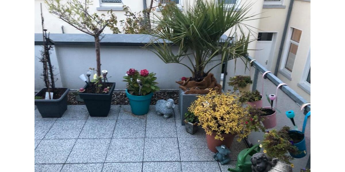 Etagenwohnung Krefeld - 2 Zimmer, 51 m&sup2;, 420&euro; | Angebot:25869922