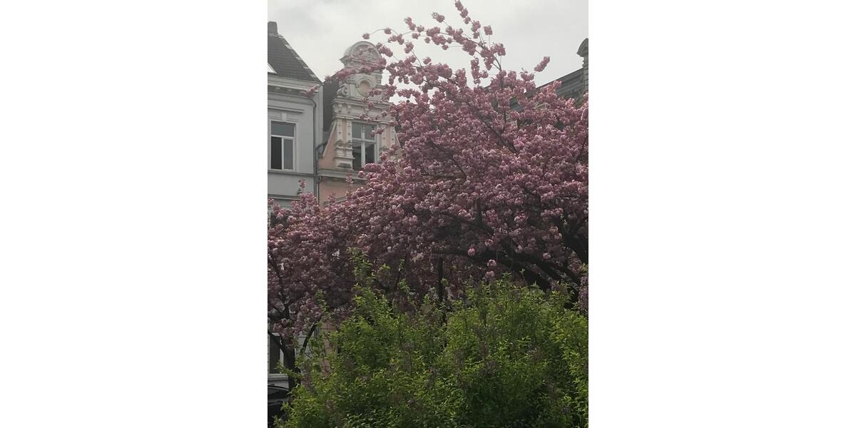 Dachgeschoßwohnung Krefeld - 2 Zimmer, 60 m&sup2;, 159.000&euro; | Angebot:26267598