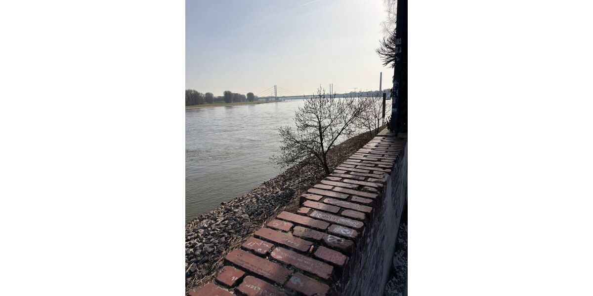 Provisionsfrei* Eckhaus EFH Endhaus mit PV 10,4 KW+Garage 140m zum Rheinufer Energiebedarf 22,4 kWhm2a - Einfamilienhaus Duisburg Essenberg | Angebot:26163676