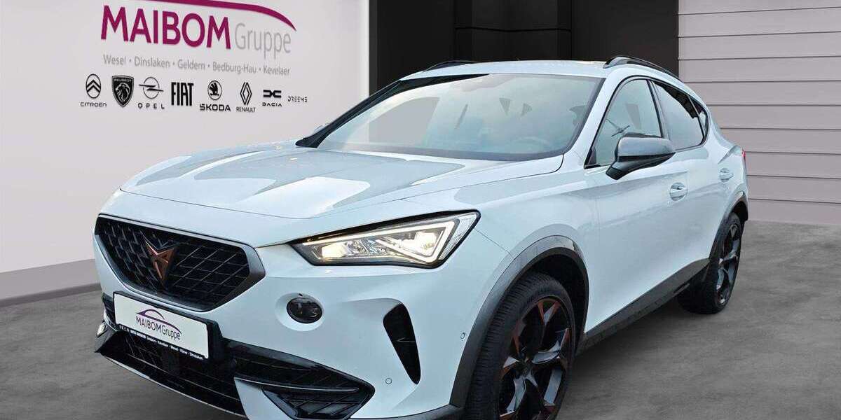 Cupra Formentor 17.000 km 28.490 &euro; Dinslaken 46539