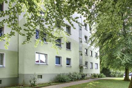 Wohnung Essen Stadtbezirk IX - 3 Zimmer, 74 m&sup2;, 639&euro; | Angebot:27339430