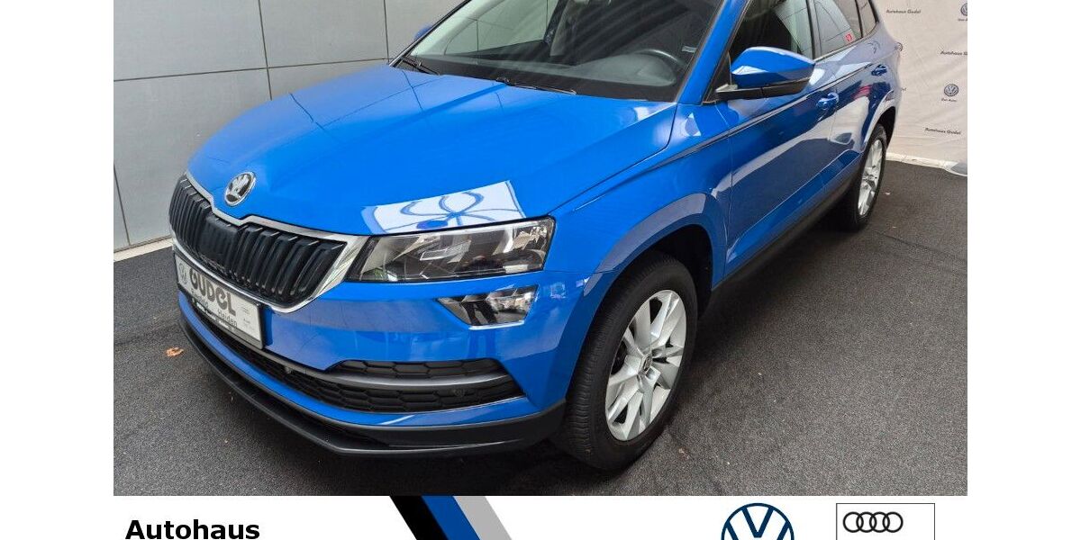 Skoda Karoq 123.950 km 17.640 &euro; Raesfeld 46348