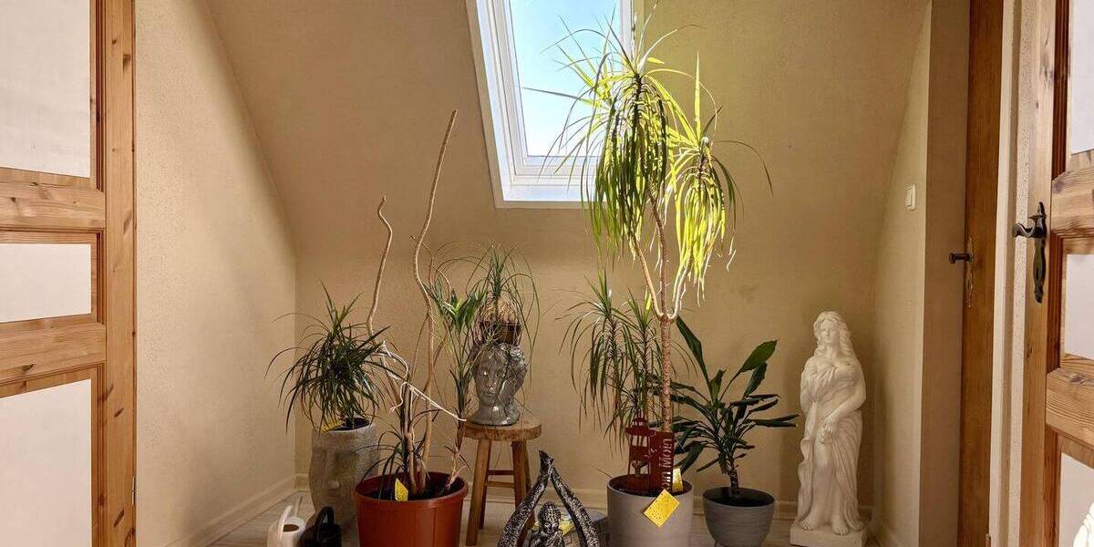 Einfamilienhaus Rheinberg Millingen - 5 Zimmer, 118 m&sup2;, 329.000&euro; | Angebot:25938468