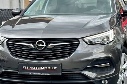 Opel Grandland (X) 69.875 km 11.950 &euro; Herten 45699