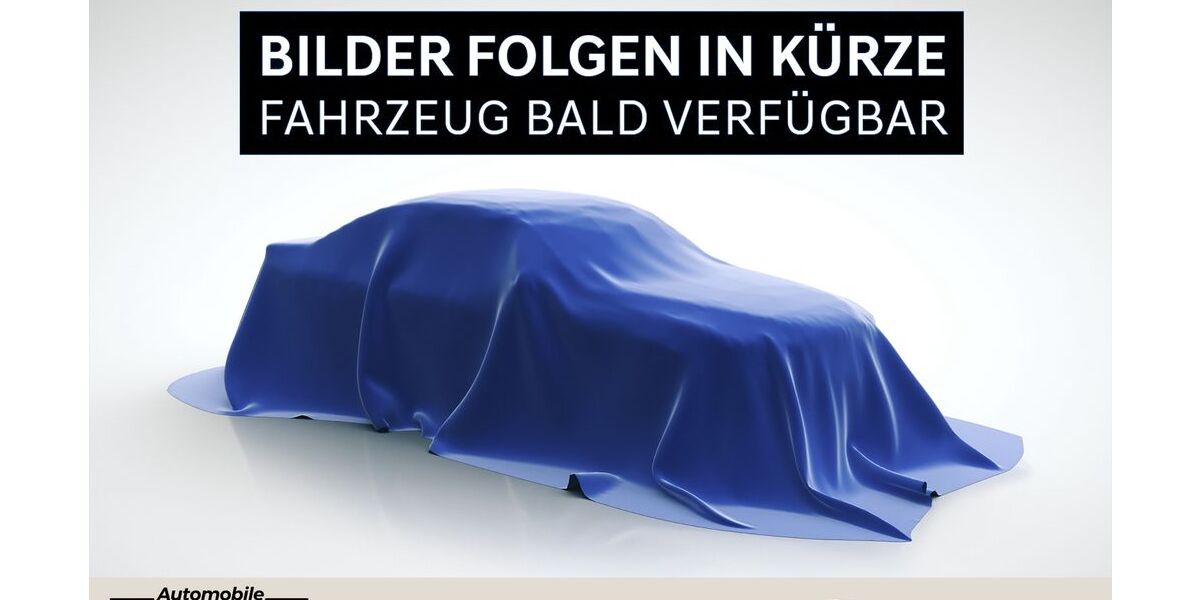 Renault Scenic 65.286 km 17.490 &euro; Dinslaken 46535