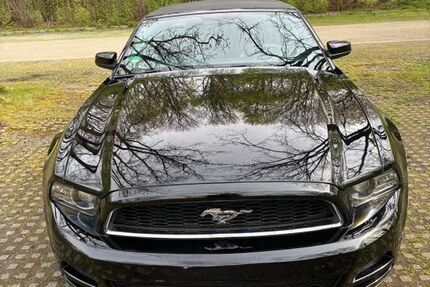 Ford Mustang 171.000 km 14.000 &euro; Bottrop 46238
