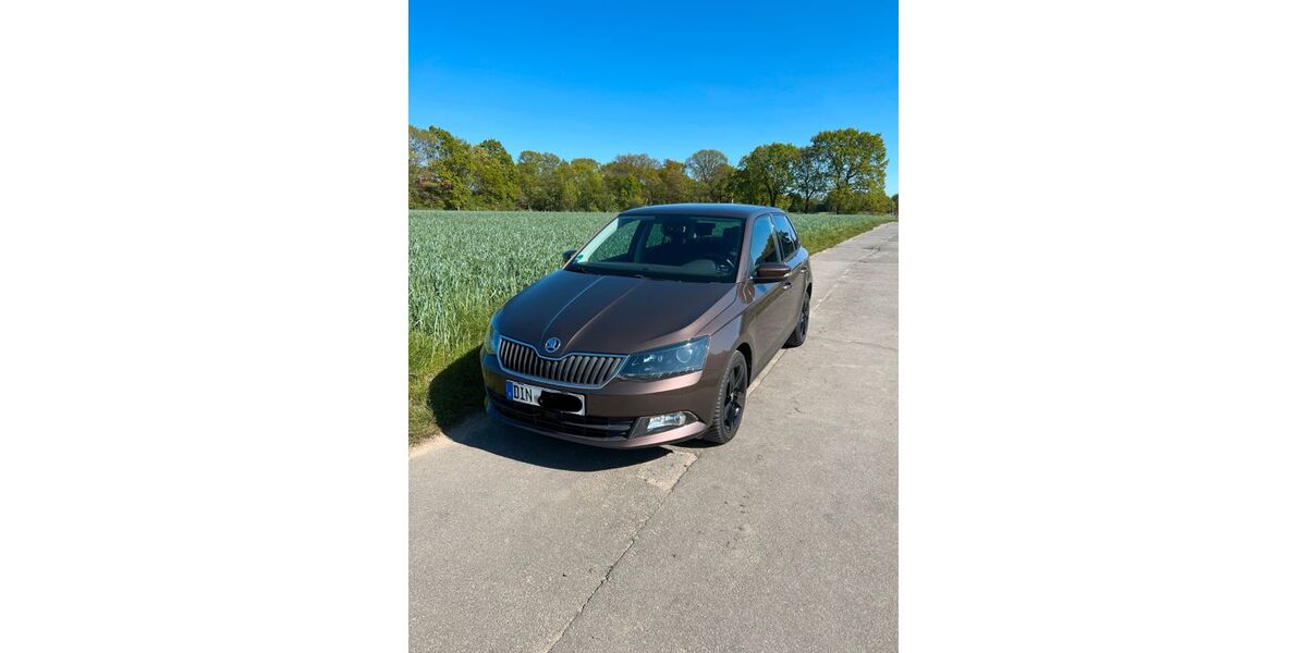 Skoda Fabia 145.000 km 8.800 &euro; Hünxe 46569