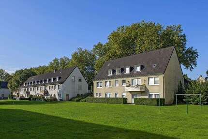 Wohnung Essen Kray - 3.5 Zimmer, 71 m&sup2;, 649&euro; | Angebot:26098501