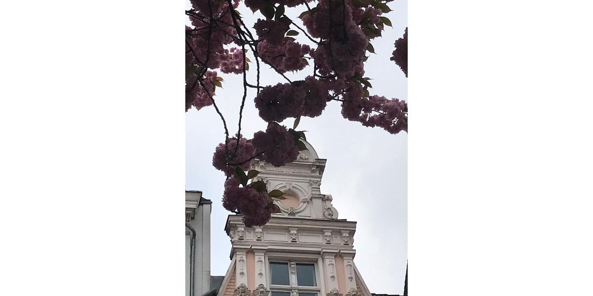 Dachgeschoßwohnung Krefeld - 2 Zimmer, 60 m&sup2;, 159.000&euro; | Angebot:26267598