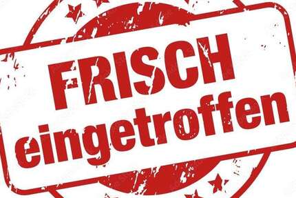 Opel Rekord 73.819 km 6.999 &euro; essen 45326