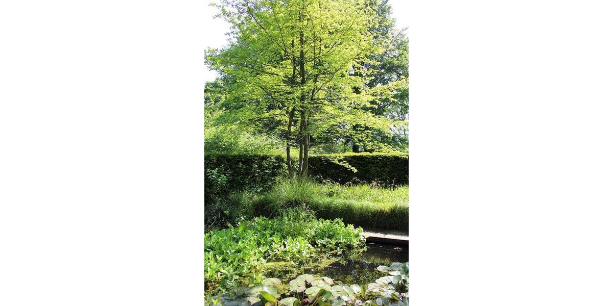 Gewerbeobjekt Krefeld Hülser Berg - 427&euro; | Angebot:25284635