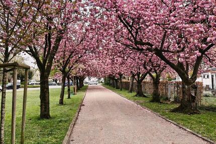 Wohnung Dinslaken Lohberg - 4 Zimmer, 106 m&sup2;, 289.000&euro; | Angebot:26226739