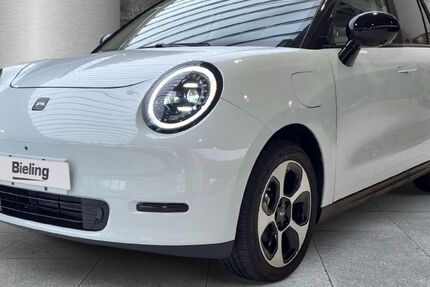 JAC Andere 4.000 km 29.990 &euro; Herten 45699