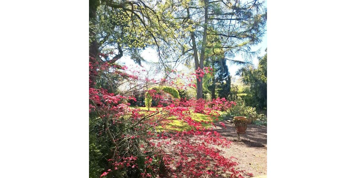 Einfamilienhaus Neukirchen-Vluyn Vluyn - 7 Zimmer, 184 m&sup2;, 530.000&euro; | Angebot:26113406